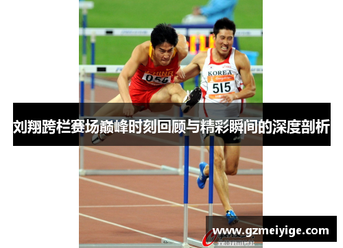 刘翔跨栏赛场巅峰时刻回顾与精彩瞬间的深度剖析