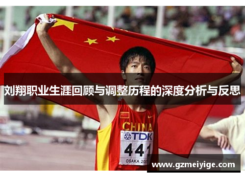 刘翔职业生涯回顾与调整历程的深度分析与反思