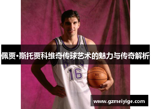 佩贾·斯托贾科维奇传球艺术的魅力与传奇解析
