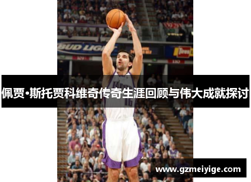 佩贾·斯托贾科维奇传奇生涯回顾与伟大成就探讨