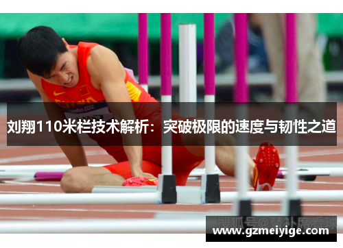 刘翔110米栏技术解析：突破极限的速度与韧性之道