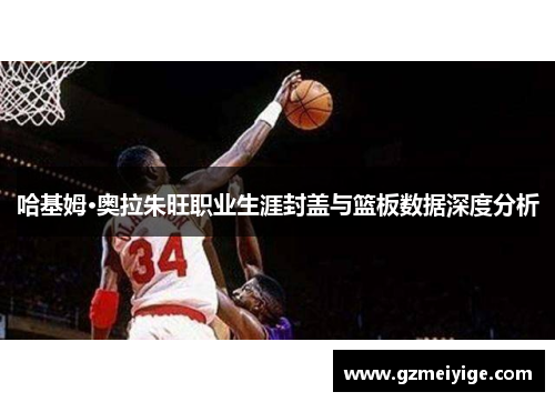哈基姆·奥拉朱旺职业生涯封盖与篮板数据深度分析