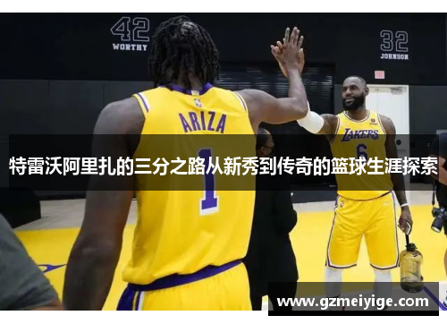 特雷沃阿里扎的三分之路从新秀到传奇的篮球生涯探索