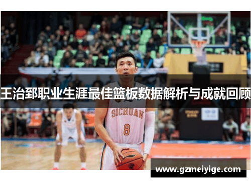 王治郅职业生涯最佳篮板数据解析与成就回顾