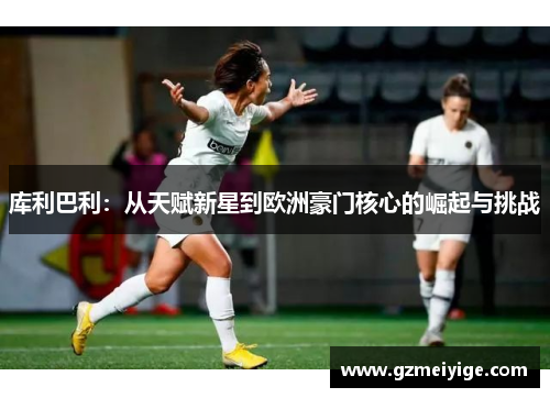 库利巴利：从天赋新星到欧洲豪门核心的崛起与挑战