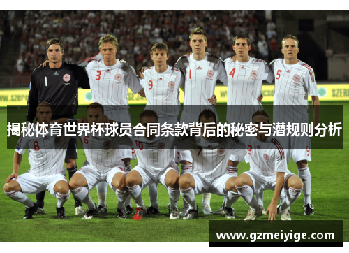 揭秘体育世界杯球员合同条款背后的秘密与潜规则分析