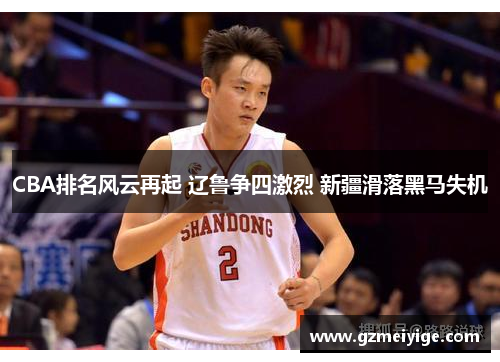 CBA排名风云再起 辽鲁争四激烈 新疆滑落黑马失机