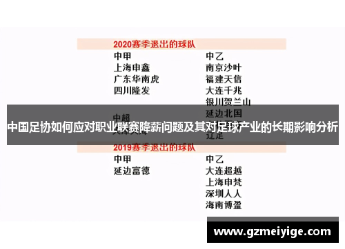 中国足协如何应对职业联赛降薪问题及其对足球产业的长期影响分析