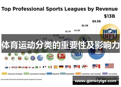 体育运动分类的重要性及影响力