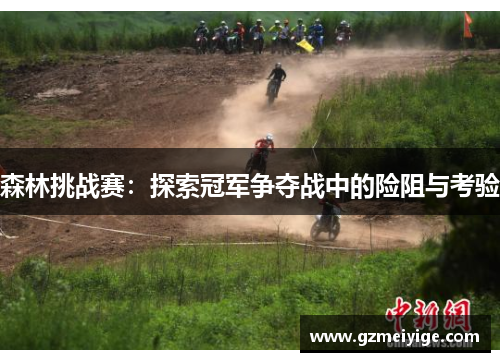 森林挑战赛：探索冠军争夺战中的险阻与考验