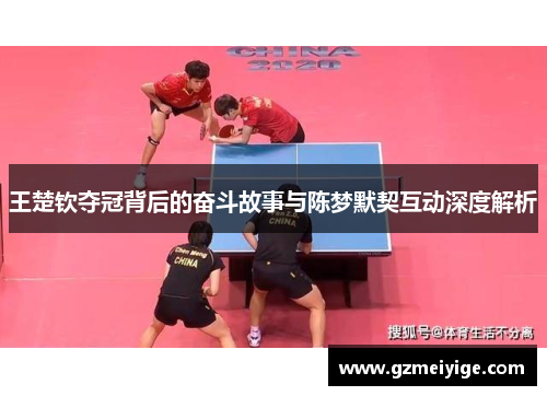 王楚钦夺冠背后的奋斗故事与陈梦默契互动深度解析