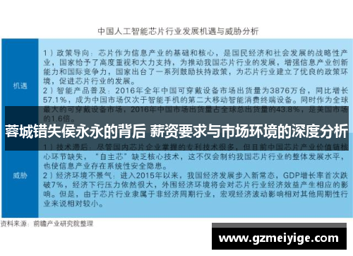 蓉城错失侯永永的背后 薪资要求与市场环境的深度分析