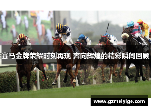 赛马金牌荣耀时刻再现 奔向辉煌的精彩瞬间回顾