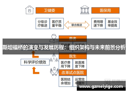 斯坦福桥的演变与发展历程：组织架构与未来前景分析